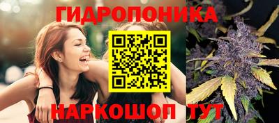 твердый Пугачёв