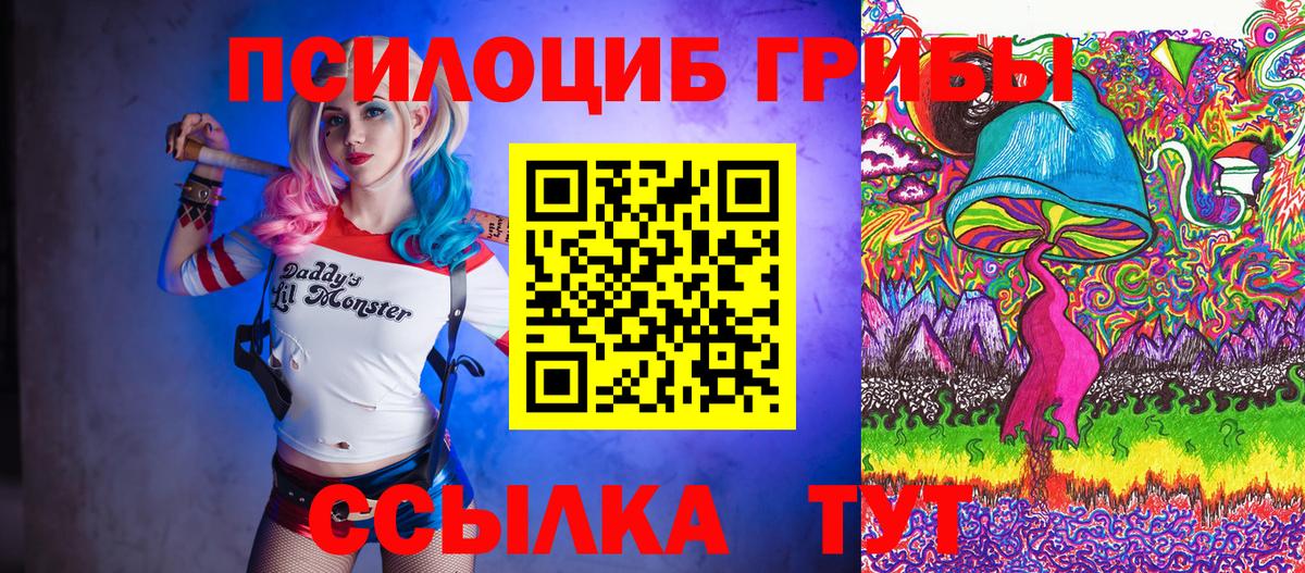 Псилоцибиновые грибы Рыбинск